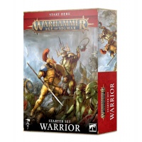 Warhammer Age of Sigmar Warrior Starter Set (Inglese)