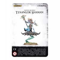 Tzaangor Shaman