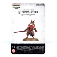 Bloodmaster, Herald of Khorne